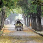adalar-böcek-ilaçlama-servisi adalar-haşere-ilaçlama