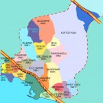 pire-tahtakurusu-hamamböceği-mayt-akar