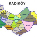 kadıköy-böcek-ilaçlama
