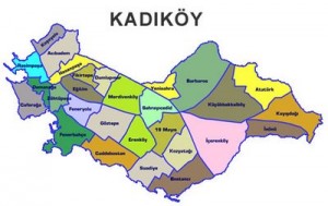 kadikoy kadıköy-böcek-ilaçlama