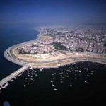 kartal-böcekilaçlama-firmaları