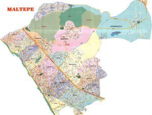 maltepe-böcek-ilaçlama-firmaları pire-tahtakurusu-hamamböceği-karafatma