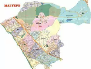 pire-tahtakurusu-hamamböceği-karafatma