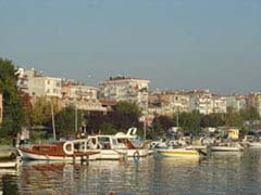 bit pire bahçe apartman site ilaçlama
