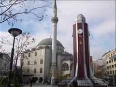 umraniye anadolu yakası pire ilaçlaması, kuş piresi ilaçlama