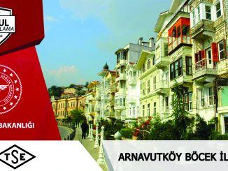 arnavutköyböcekilaclama
