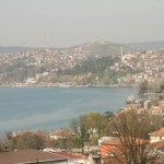 beykoz Beykoz Fare ilaçlama
