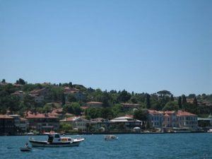 cengelkoy Çengelköy Böcek ilaçlama