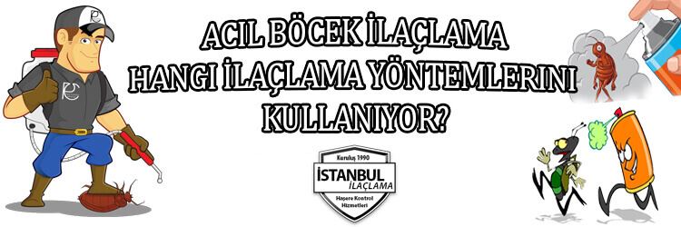 acil-böcek-ilaçlama