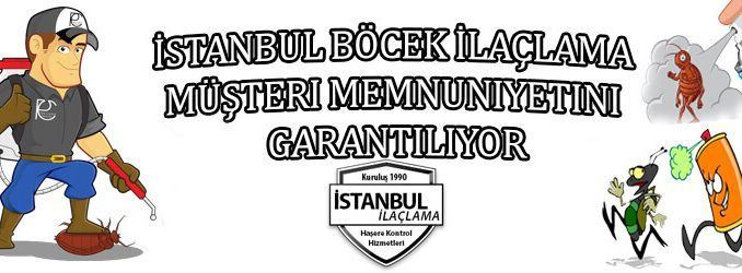 böcek-ilaclama-en-iyi-firma böcek-ilaclama-en-iyi-firma, ev-ilaçlama