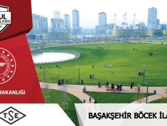 başakşehirböcekilaclama