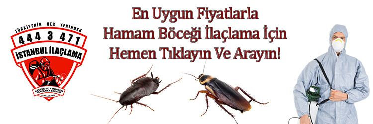 hamam-böceği-ilaclama, hamam-böceği-ilaçlama