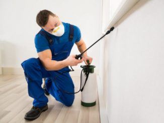ev ilaclama firmasi e1570009268262