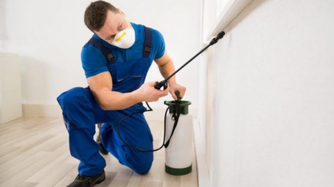 ev ilaclama firmasi e1570009268262 ev ilaclama firmasi e1570009268262
