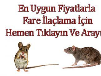 fare