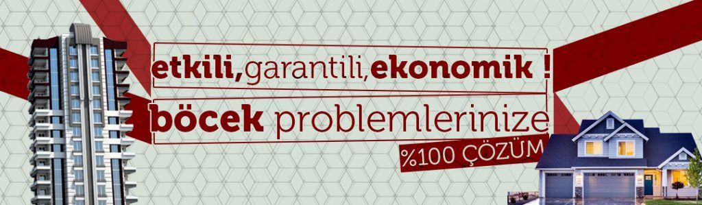 istanbul ilaçlama firmasi