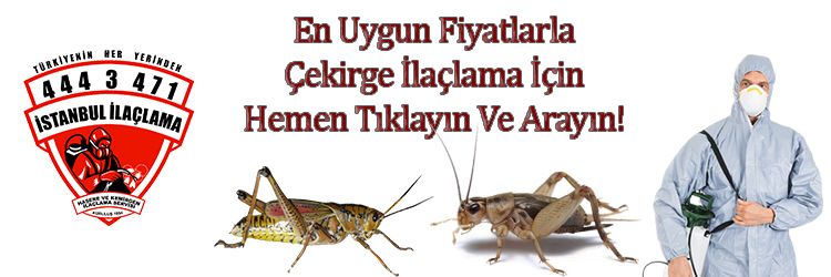 çekirge, cekirge, çekirge ilaçlama