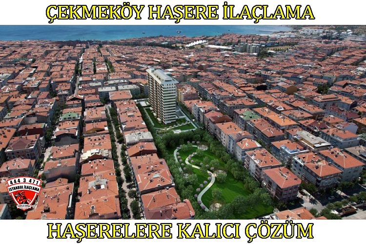 çekmeköy-böcek-ilaçlama