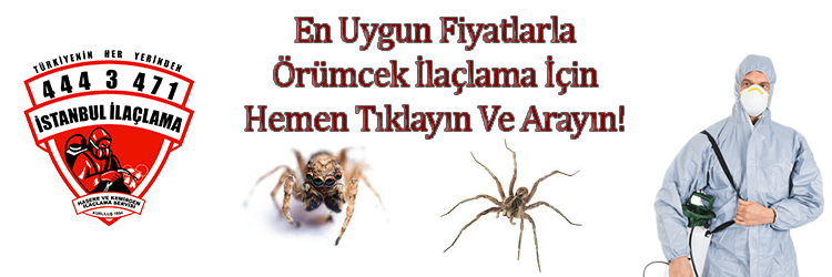 örümcek-ilaçlama, örümcek