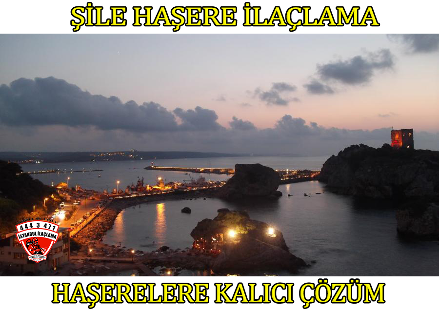 şile-böcek-ilaçlama