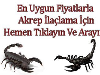 akrep ilaclama