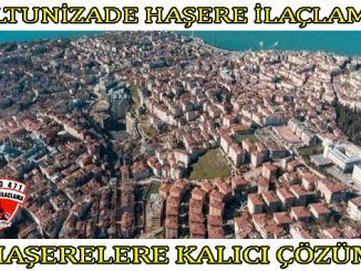 altunizade böcek ilaclama