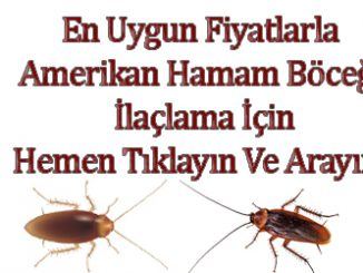 amerikan hamam böceği ilaçlama