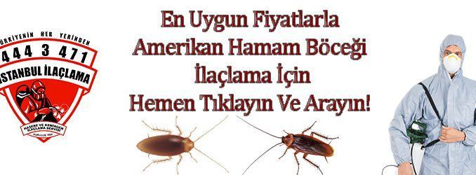 amerikan hamam böceği ilaçlama