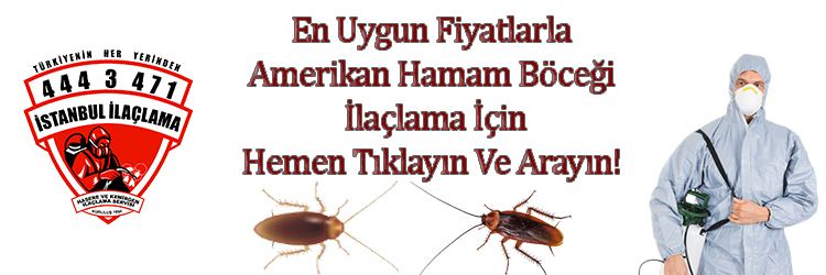 amerikan hamam böceği ilaçlama
