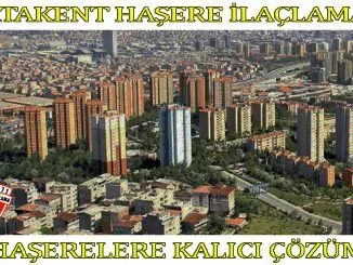 atakent böcek ilaclama