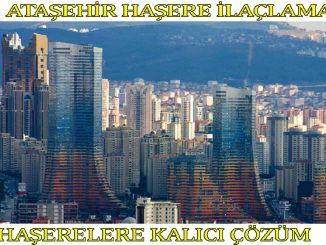atasehir böcek ilaclama