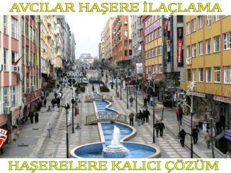 avcılar böcek ilaclama e1570691133899