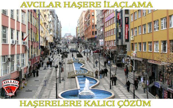 avcılar böcek ilaclama e1570691133899 avcılar böcek ilaclama e1570691133899