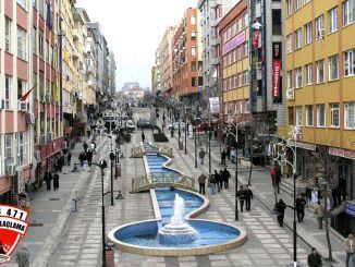avcılar böcek ilaçlama