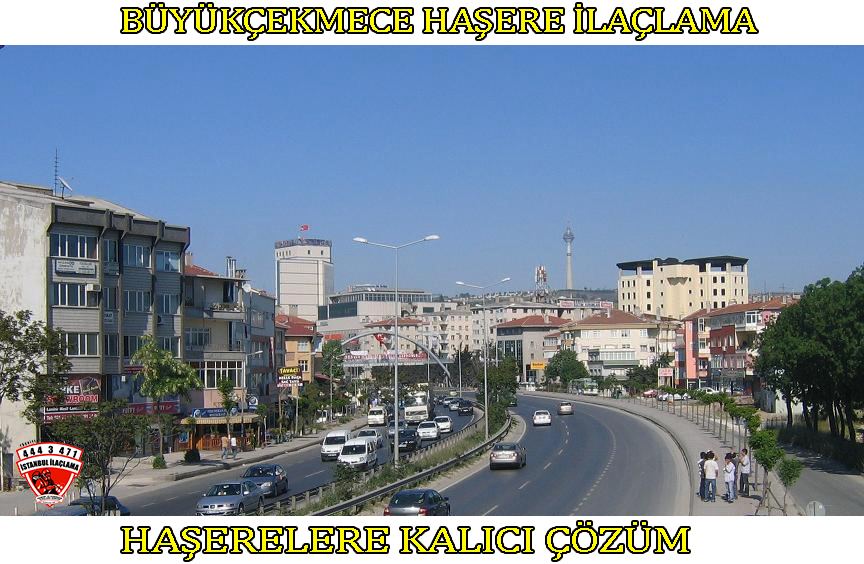 büyükçekmece-böcek-ilaclama, büyükçekmece-böcek-ilaçlama