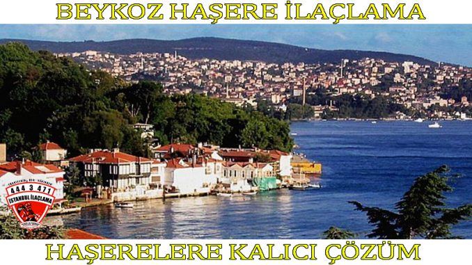 beykoz-böcek-ilaclama beykoz-ilaçlama, beykoz-böcek-ilaçlama