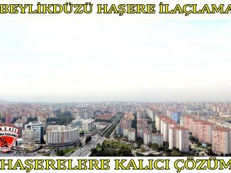 beylikdüzü böcek ilaclama