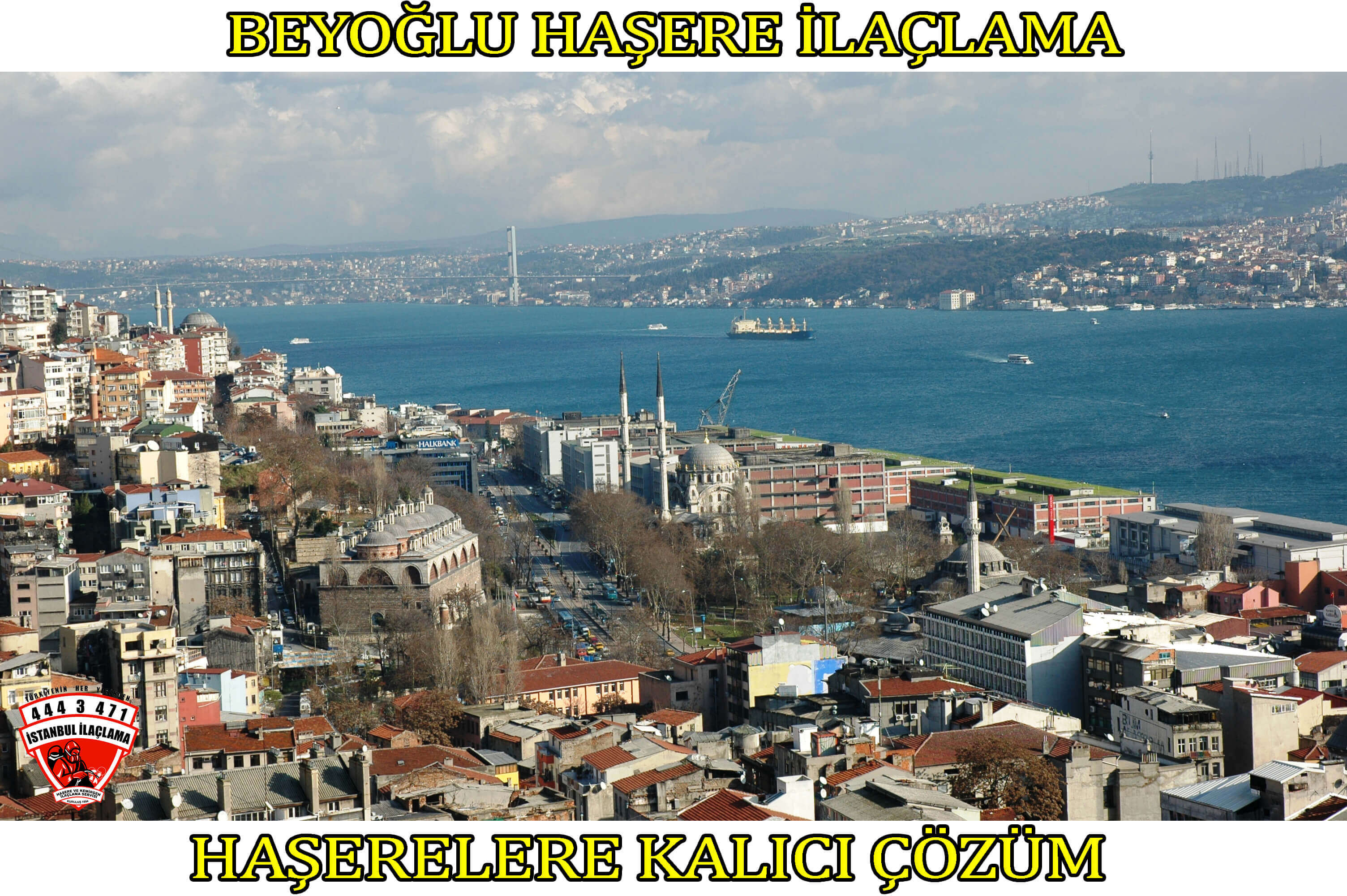 beyoglu-böcek-ilaclama, beyoglu-böcek-ilaçlama