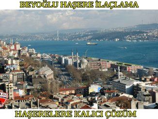 beyoglu böcek ilaclama