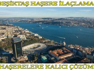beşiktaş böcek ilaclama