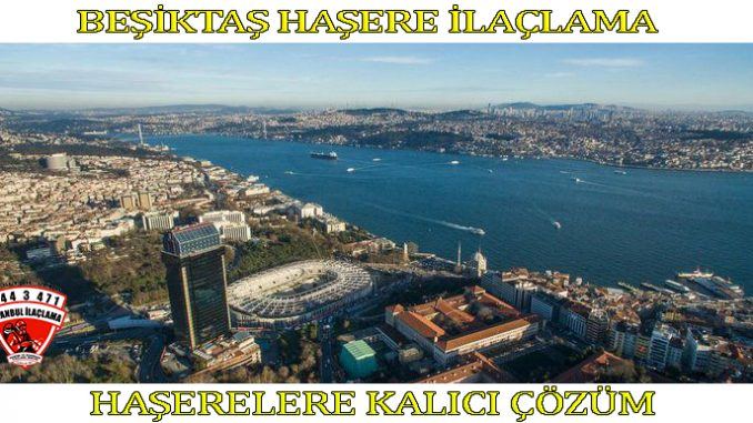 beşiktaş-böcek-ilaclama beşiktaş-böcek-ilaclama, beşiktaş-böcek-ilaçlama
