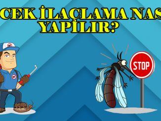 böcek ilaçlama nasıl yapılır