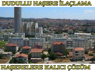 dudullu böcek ilaclama