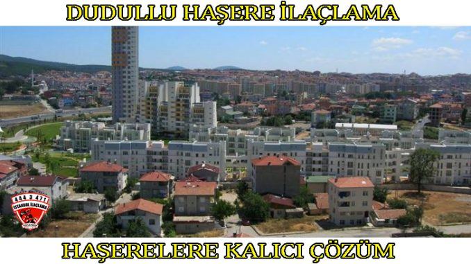 dudullu-böcek-ilaclama