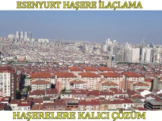 esenyurt-böcek-ilaçlama, esenyurt-haşere-ilaclama