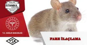 fare ilaçlama