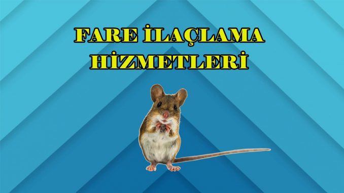 fareilaçlamahizmetleri fare-ilaçlama-hizmetleri