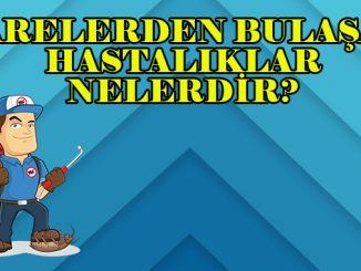 farelerden geçen hastalıklar