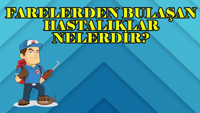 farelerden geçen hastalıklar farelerden-insanlara-geçen-hastalık, fare ilaçlama