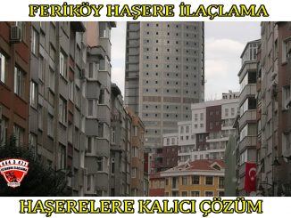 ferikoy böcek ilaclama